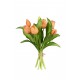 TULPEN 30CM ZALM