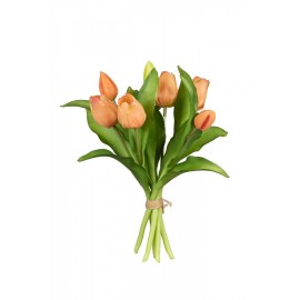 TULPEN 30CM ZALM