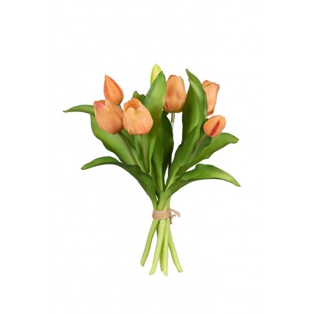 TULIPE 30CM SAUMON