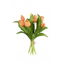 TULIPE 30CM SAUMON