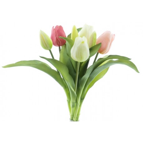 TULIPE 30CM MIX JROSE/BLANC