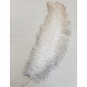 PLUMES OSTRICH DRAB +60CM NATUREL 1PC