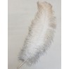 PLUMES OSTRICH DRAB +60CM NATUREL 1PC