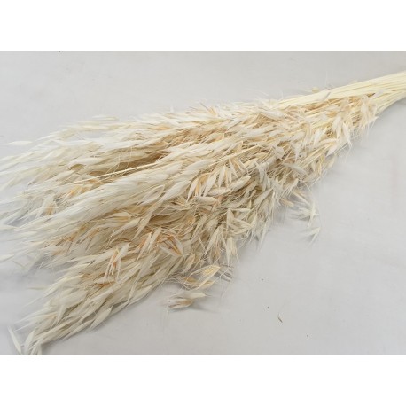 AVOINE BLANCHI +/-100GR