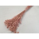 PAHLARAIS ROSE POUDRE +/-100GR