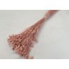 PHALARIS POEDERROZE +/-100GR