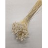 HILL FLOWER GEBLEEKT +/- 150GR