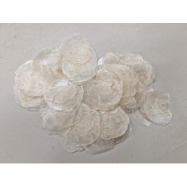 COQUILLES PLACUNA MINI (CAMAR/CAPIZ) NATUREL +/-500GR COQUILLES PLACUNA MINI (CAMAR/CAPIZ) NATUREL +/-500GR