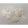 COQUILLES PLACUNA MINI (CAMAR/CAPIZ) NATUREL +/-500GR