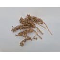 CANELLA OR 5PCS