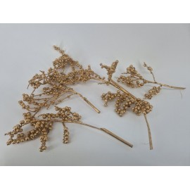 CANELLA NATUREL 5ST