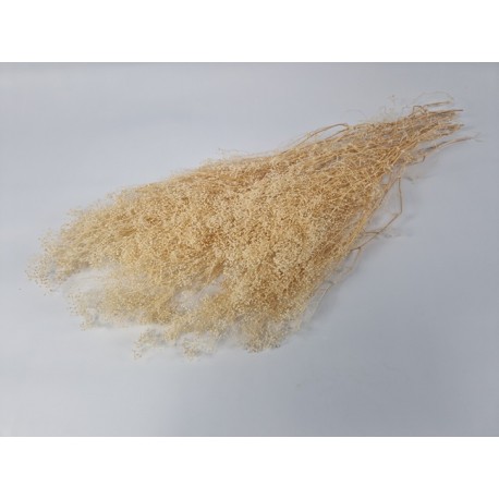 GYPSOPHILA MINI CREME +/-100GR
