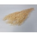 GYPSOPHILA MINI CREME +/-100GR
