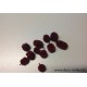 CASURINA ROUGE +/-1KG