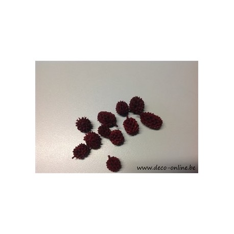 CASURINA ROUGE +/-1KG