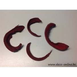 COCO CURL (COCO C CUT) ROOD +/-75GR