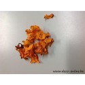 CURLY PODS ORANGE (APRICOT) +/30GR