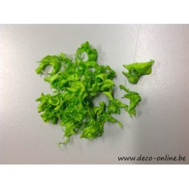 CURLY PODS LIME GREEN +/-30GR