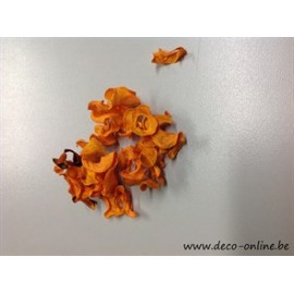 CURLY PODS ORANGE (APRICOT) +/-250GR