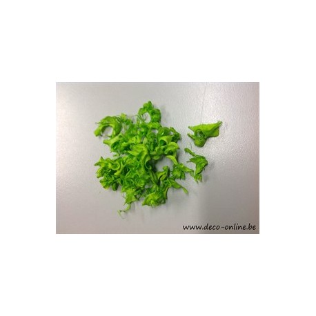 CURLY PODS LIME GREEN +/-250GR