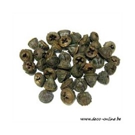 EUCALYPTUS FRUIT (PODS) NATUREL +/-200GR