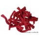 PEPE CUT (CABSTICK/PEPE CONE) ROOD +/-500GR