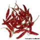 PEPER ROOD CHILLIES +/-30GR