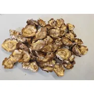 Coco flower or +/-250gr