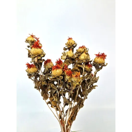 Carthamus orange naturel