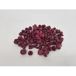 Chiloni rouge +/-1kg