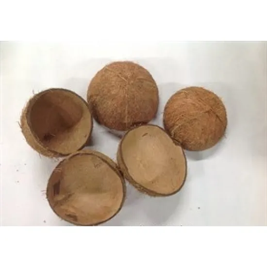 Coco nut shell half natural 5pcs