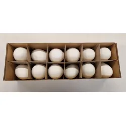 Oeufs de canard 12pcs