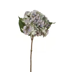 Hortensia 45cm bleu/vert