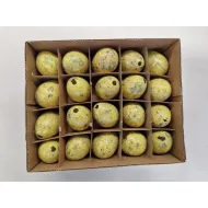 Oeufs de caille jaune 60pcs