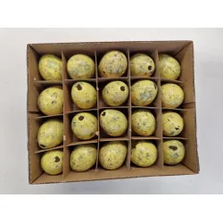 Oeufs de caille jaune 60pcs