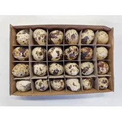 Oeufs de caille naturel 24pcs