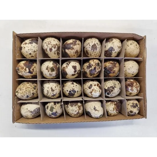 Quail eggs natural 24pcs