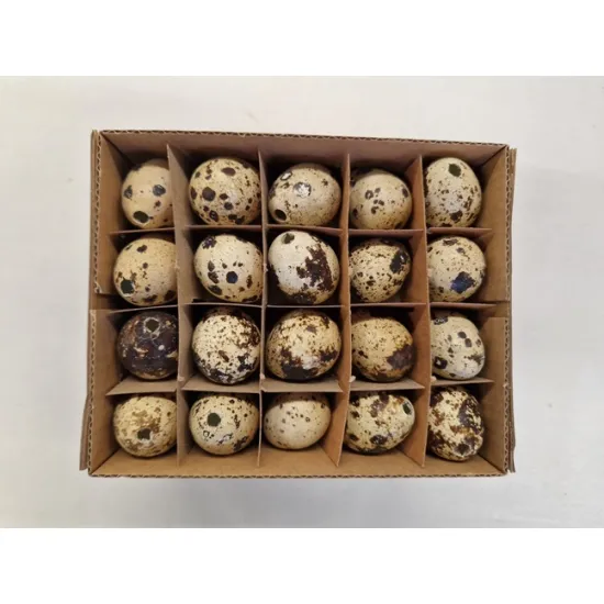 Quail eggs natural 60pcs