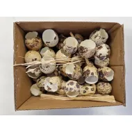 Oeufs de caille ouvert 60pcs