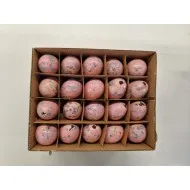 Oeufs de caille rose 60pcs