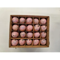 Oeufs de caille rose 60pcs