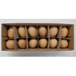 Oeufs de poulet brun 12pcs