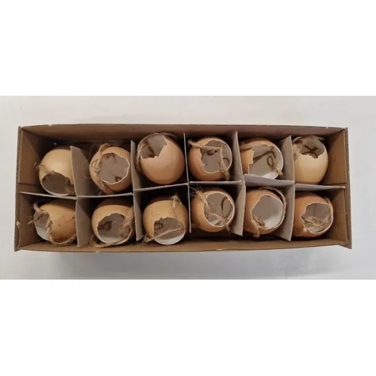 Chicken eggs brown open with rope 12pcs