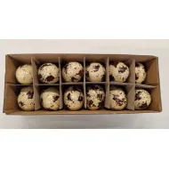 Oeufs de poulet taches 12pcs