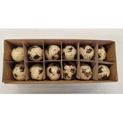 Oeufs de poulet taches 12pcs