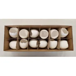 Oeufs de poulet ouvert blanc 12pcs