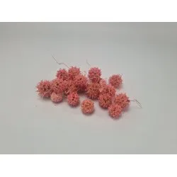 Liquidambar (amberbaum) rose +/-150gr