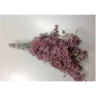 Pepperberry frosted white