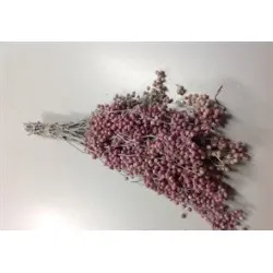 Pepperberry frosted white