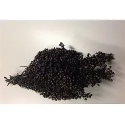 Pepperberry black